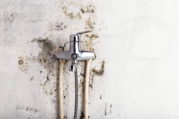 Reliable Aberdeen, MD Mold Remediation Solutions